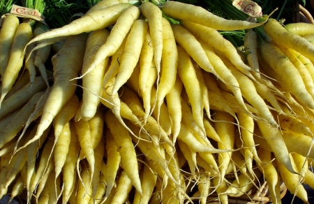 White carrots from Full Circle Farm are good food in our extreme heat. Photo copyright 2009 by Zachary D. Lyons.