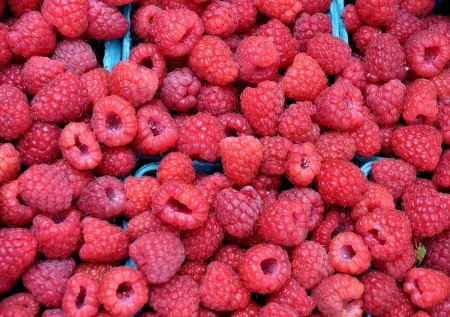 First-of-the-season raspberries from Sidhu Farms. Photo copyright 2013 by Zachary D. Lyons.