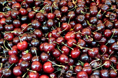 Vans cherries from Collins Family Orchards. Photo copyright 2013 by Zachary D. Lyons.