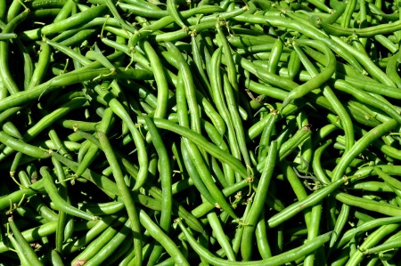 Green beans from Lyall Farms. Photo copyright 2013 by Zachary D. Lyons.